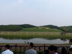 -迪茵湖田家舍生态农场