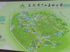 -宜兴龙背山森林公园