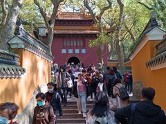 -普陀山风景名胜区-法雨禅寺