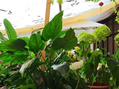 -小喜客·云南特色菜(纳西庭院店)