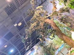 -陕西自然博物馆