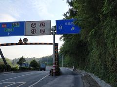 -天鹿湖森林公园