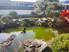 -东方艺术博物馆