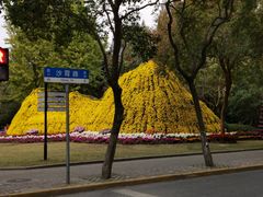 -汇龙潭