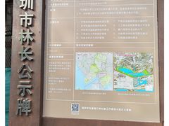 -华侨城湿地公园