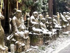 -武陵山森林公园