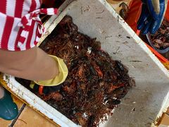 -熊记虾王·小龙虾(东晓南店)