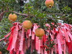 -四门塔风景区