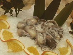 -渔傅·蓝海岸霞浦海鲜(正祥店)