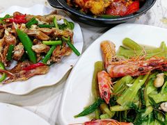 -富来美食