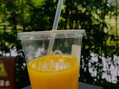 -南国桃园旅游度假区