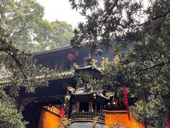 -青城山