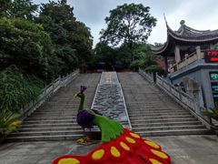 -宜兴张公洞