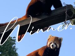 -无锡动物园·太湖欢乐园