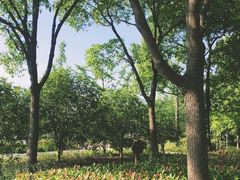 -新江湾城公园