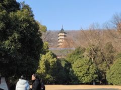 -灵谷景区