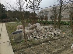 -洪湖家庭农场·团建·露营·会议