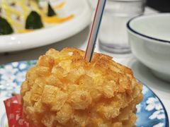 -丁老爷子苏香圆
