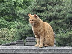 -晋祠博物馆