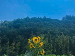 -贵阳市花溪国家城市湿地公园