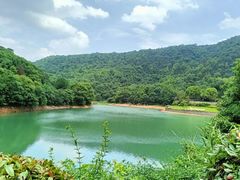 -桃花岭景区