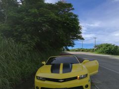 -丽姐租车