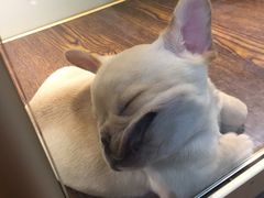 -乐宠宠物店(世纪金源店)