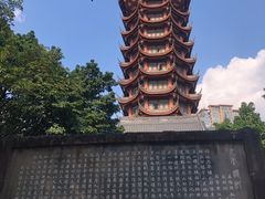 -塔子山公园