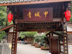 -青城甲(青城山店)