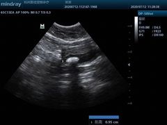 -萌兽医馆·宠物医院·猫骨科(创景店)