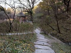 -香山公园