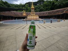 -西双版纳勐泐文化旅游区