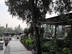 -蘇河湾·新鲁菜·泰山宴(泰山店)