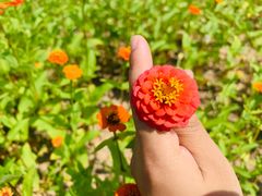 -漩门湾国家湿地公园