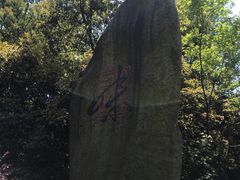 -西湖风景区-江洋畈生态公园