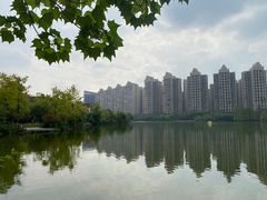 -成都南湖公园