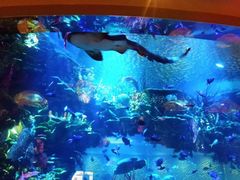 -迪拜帆船酒店海底餐厅