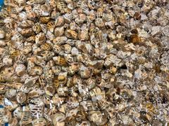 -三亚火车头万人海鲜广场