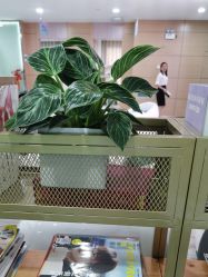 -重庆联合丽格第五医疗美容医院