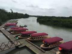 -东寨港红树林旅游区