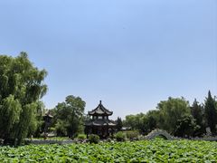 -莲池书院博物馆