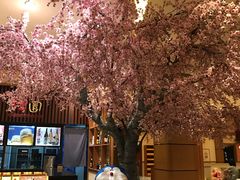 -大江户·温泉洗浴(浑南店)