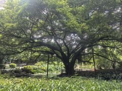 -晓港公园