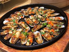 铁板肥蛏-鸽子窝(黄村店)