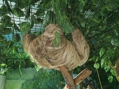 -杭州野生动物世界