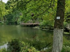 -浙江西子宾馆·牡丹厅