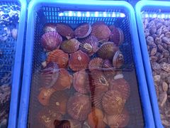 -1937青岛老味道·海肠捞饭·青岛菜(大鲍岛栈桥店)