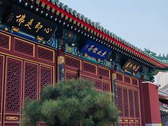 -天津大悲禅院