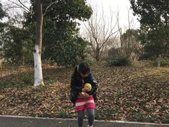 -梁鸿国家湿地公园