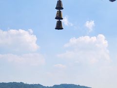 -西湖外事游船(花港观鱼码头)